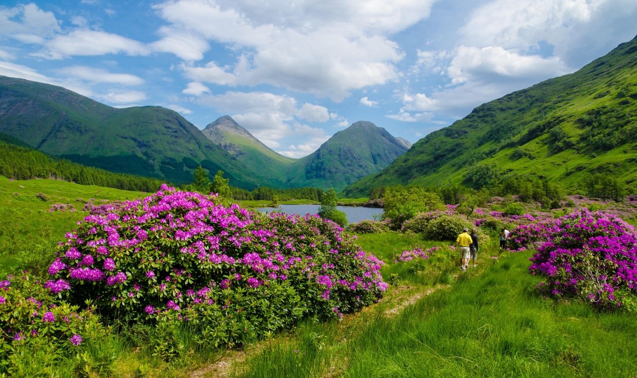 The Scottish Highlands: A Land of Beauty and Heritage