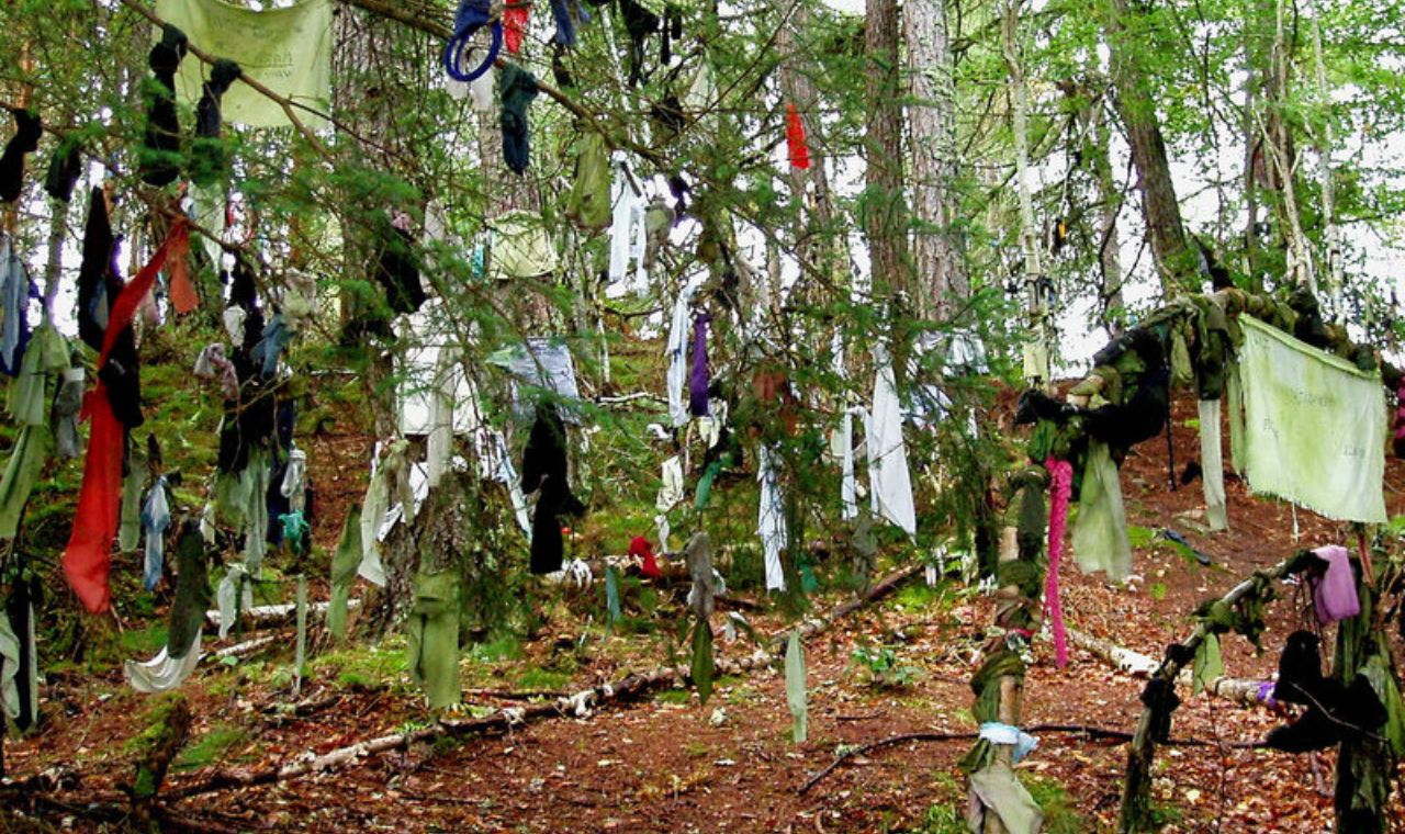 The Clootie Tree: Scotland’s Living Wishing Well