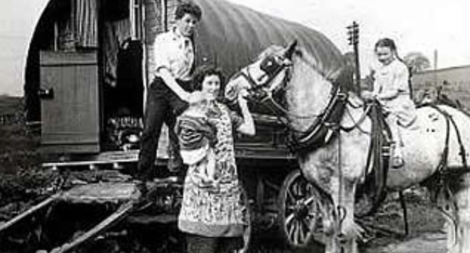 irish traveller