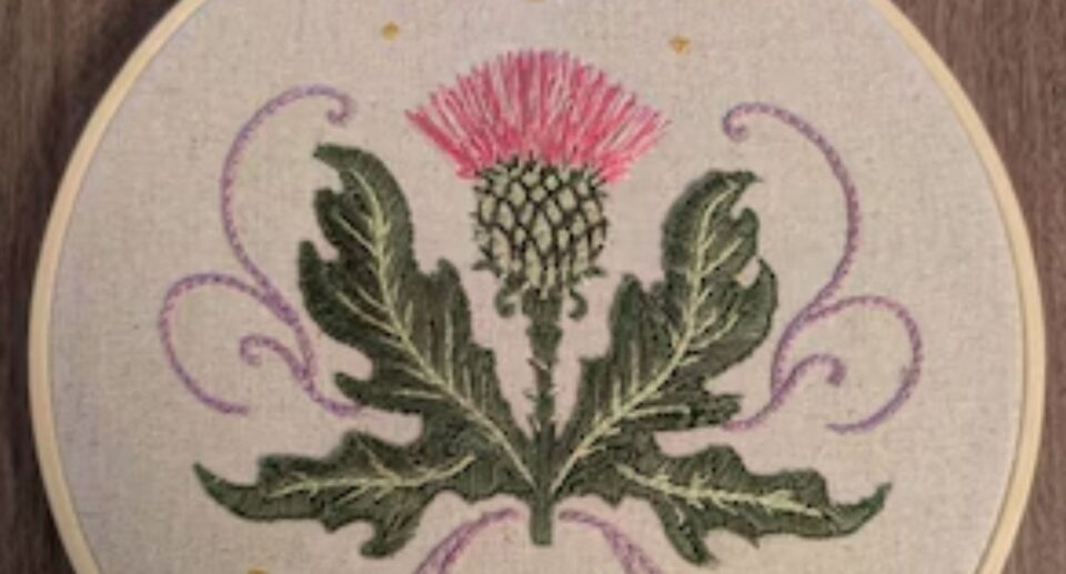 thistle