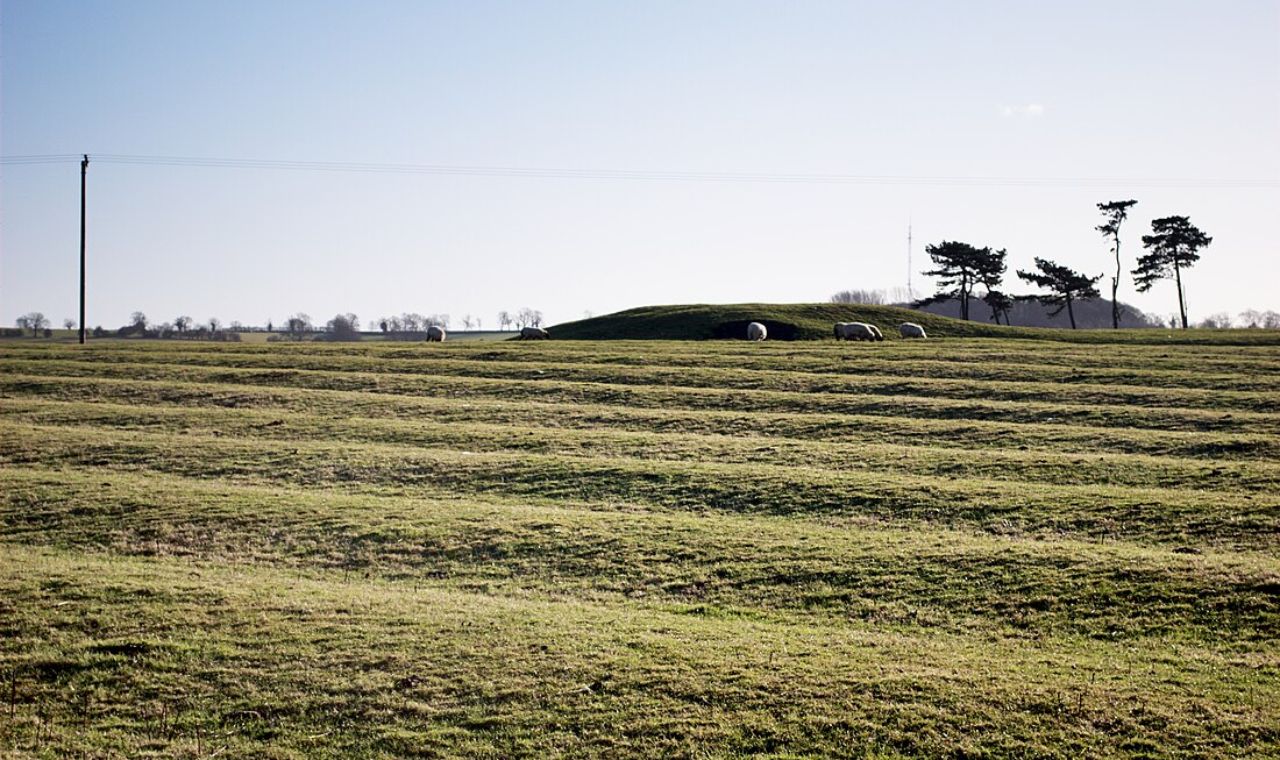 The Irish Potato Ridges and Furrows: A Landscape of Survival