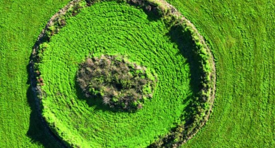 Irish Folklore of the Fairy Forts: Myths, Beliefs & Legacy