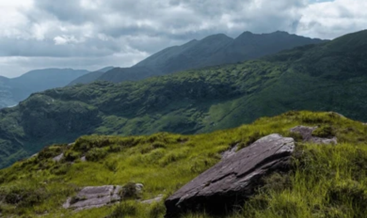 Irish Green Fields: Meaning, Memory, and Symbolism