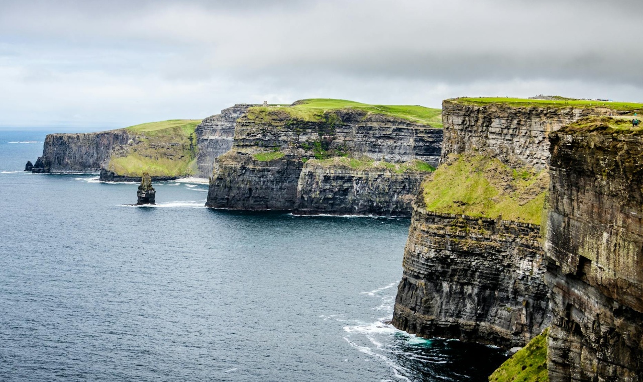 Irish Moss Farming: A Coastal Tradition Rooted in Ireland