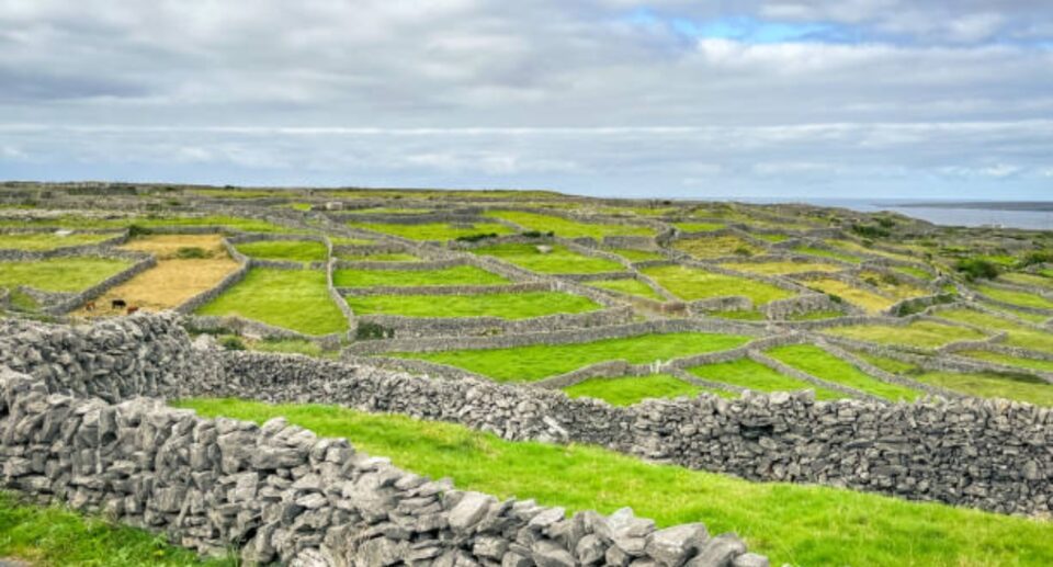 Irish Nationalism and Cultural Pride: A Living Story of Identity