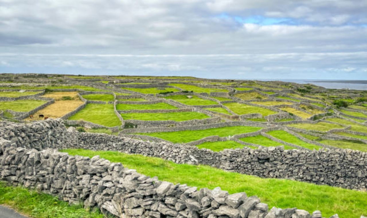 Irish Nationalism and Cultural Pride: A Living Story of Identity