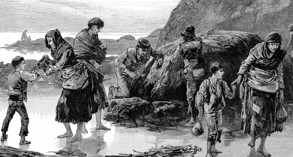 Irish Potato Famine