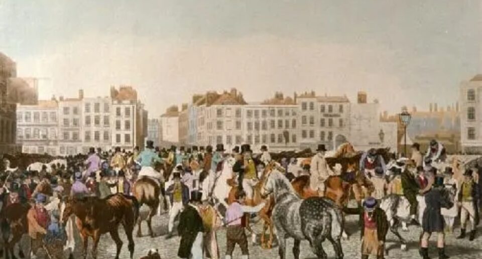 Irish Horse Markets