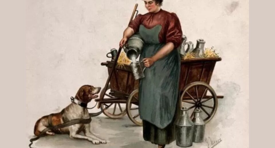 Irish Milkmaid Tradition