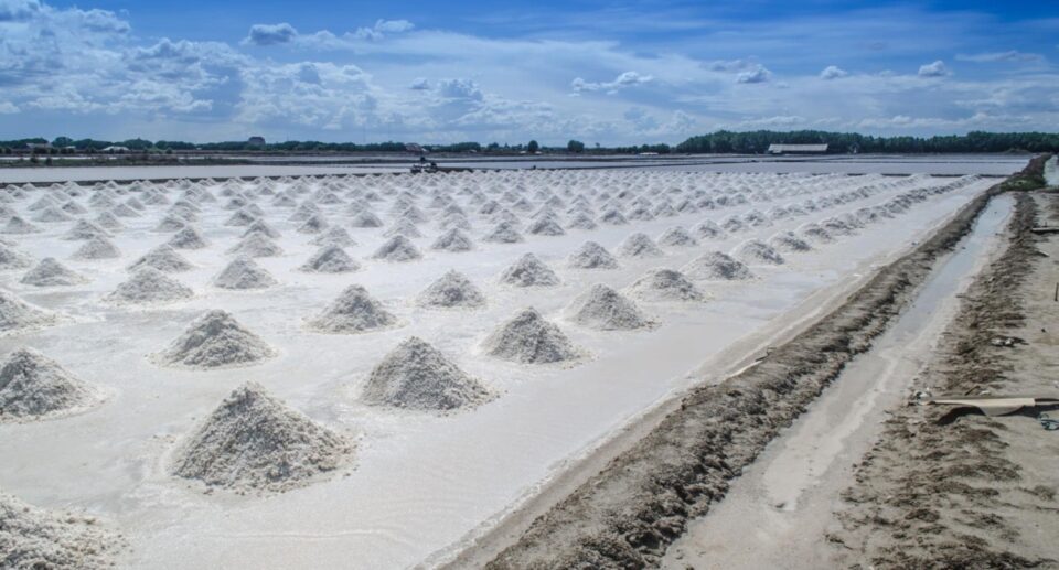 Irish Salt Harvesting: Tradition from Sea to Table