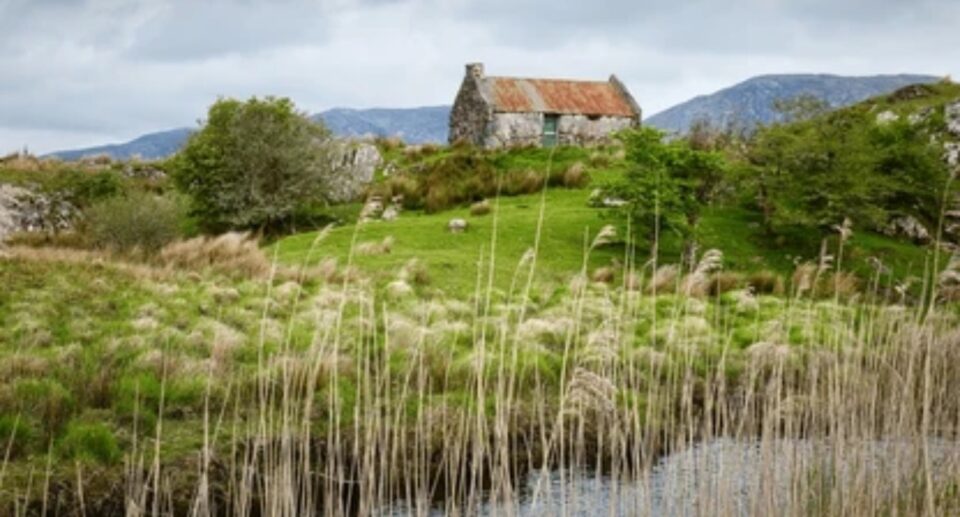 Irish Crop Rotation Traditions: A Living Agricultural Heritage