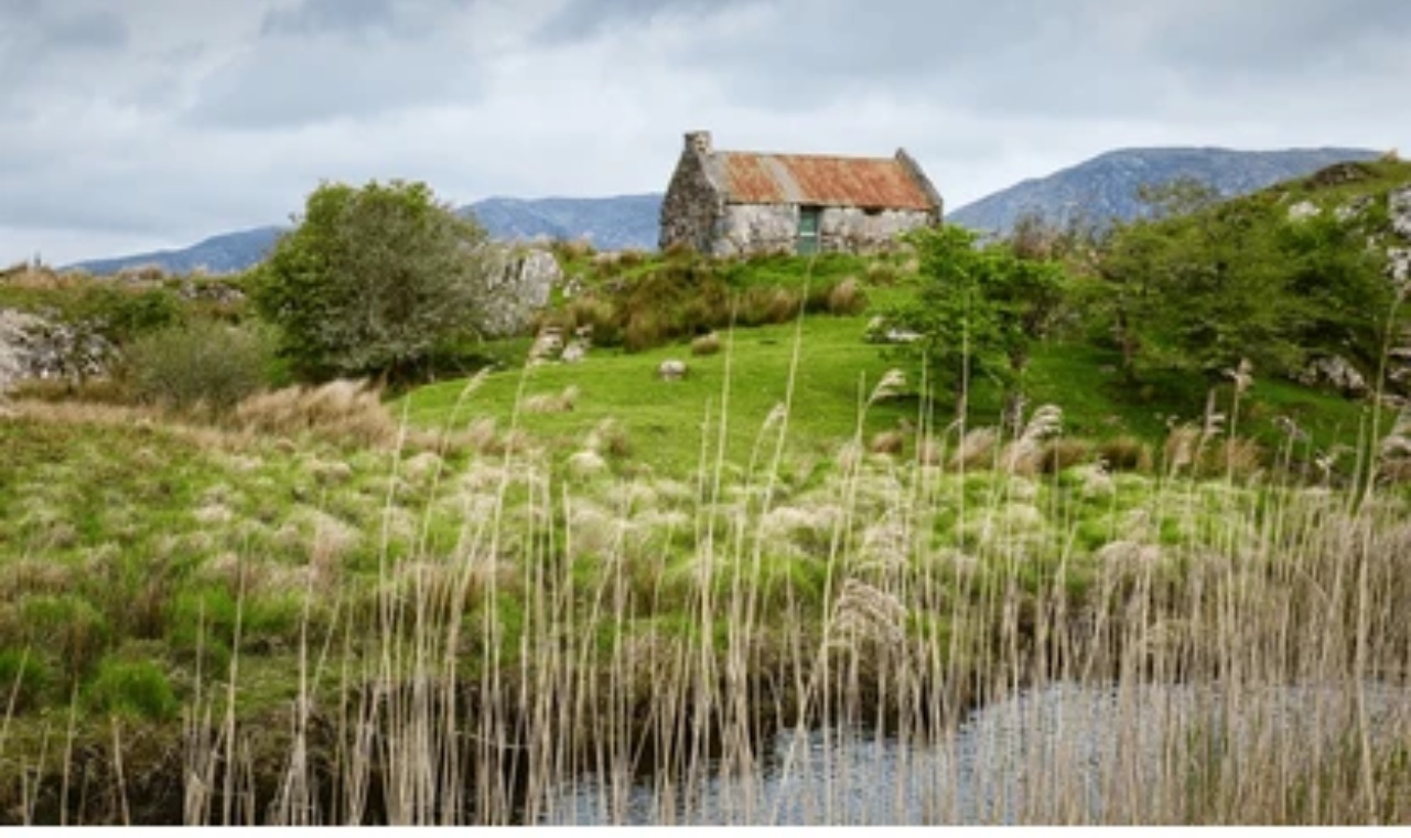 Irish Crop Rotation Traditions: A Living Agricultural Heritage