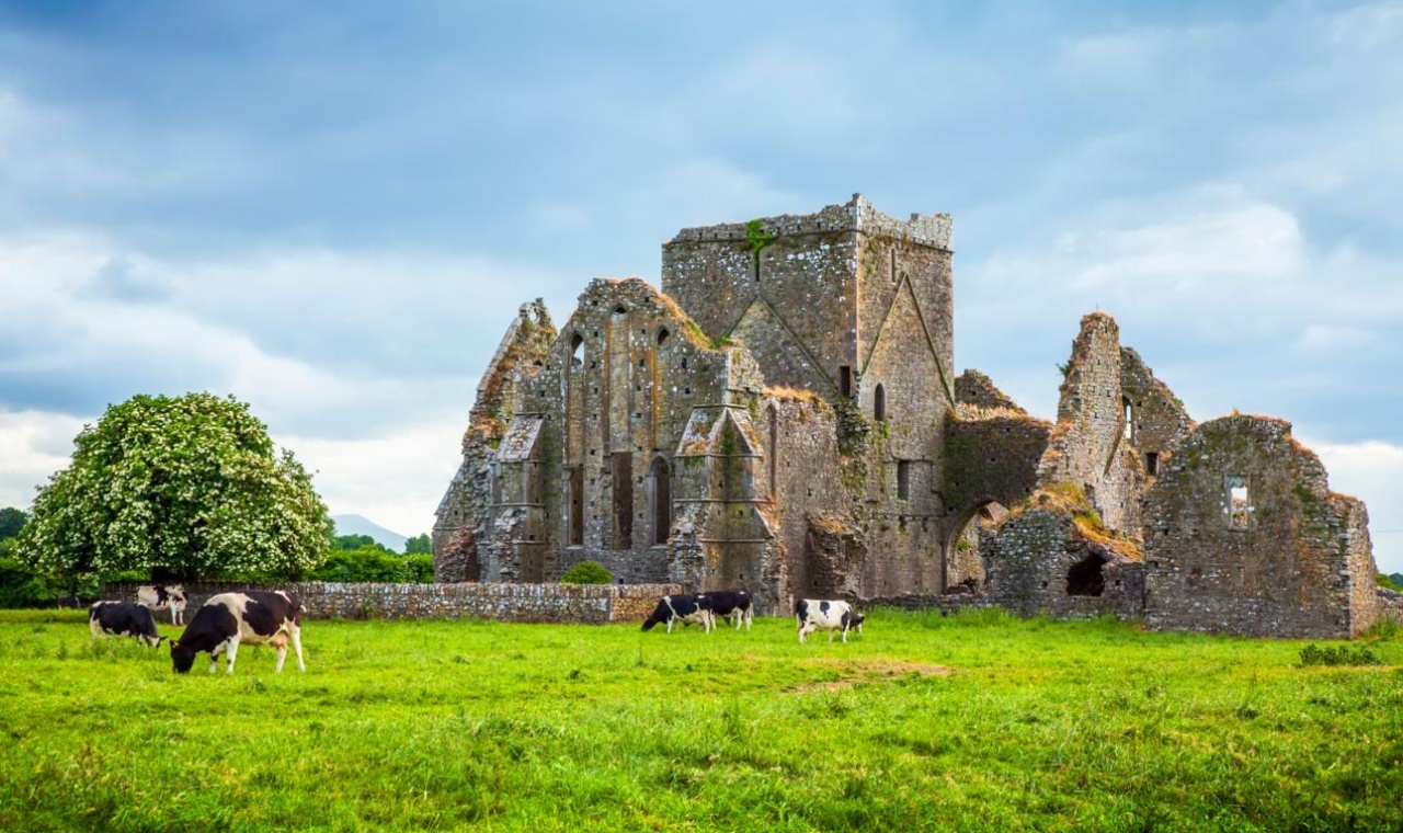 The Role of Irish Monks in Preserving Europe Culture