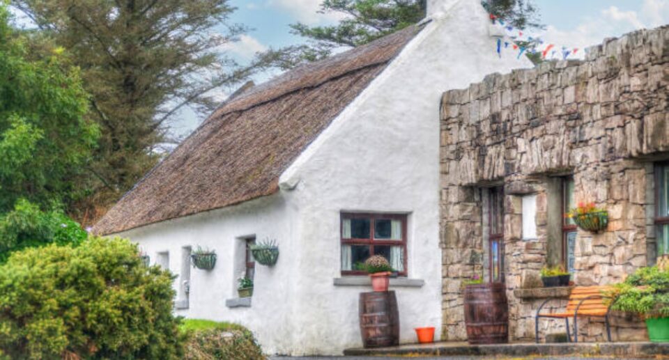 Irish Traditional Hen Houses: A Living Thread of Rural Heritage
