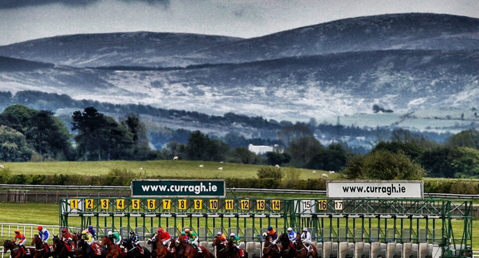 Irish Horse Races at the Curragh: Heritage & Thrill
