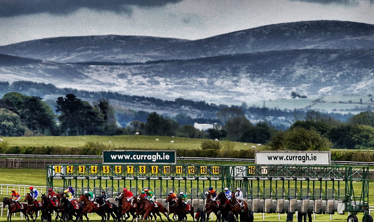 Irish Horse Races at the Curragh: Heritage & Thrill