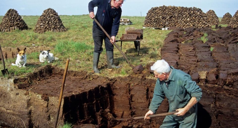 irish turf