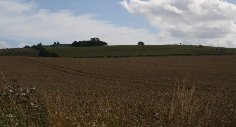 Battle of Flodden 1513: Why Scotland Lost and Its Legacy