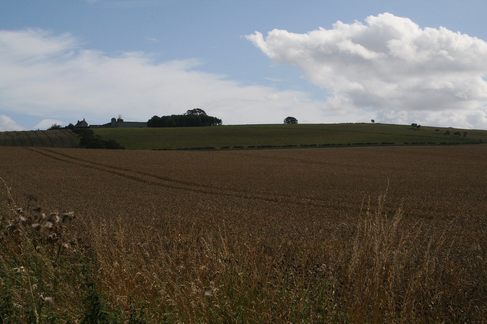 Battle of Flodden 1513: Why Scotland Lost and Its Legacy